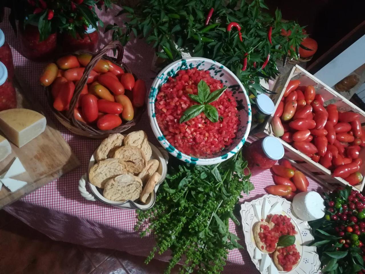 Agriturismo Torrevecchia San Pancrazio Salentino Dış mekan fotoğraf