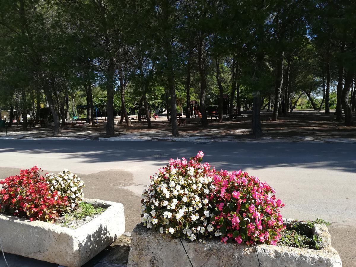 Agriturismo Torrevecchia San Pancrazio Salentino Dış mekan fotoğraf