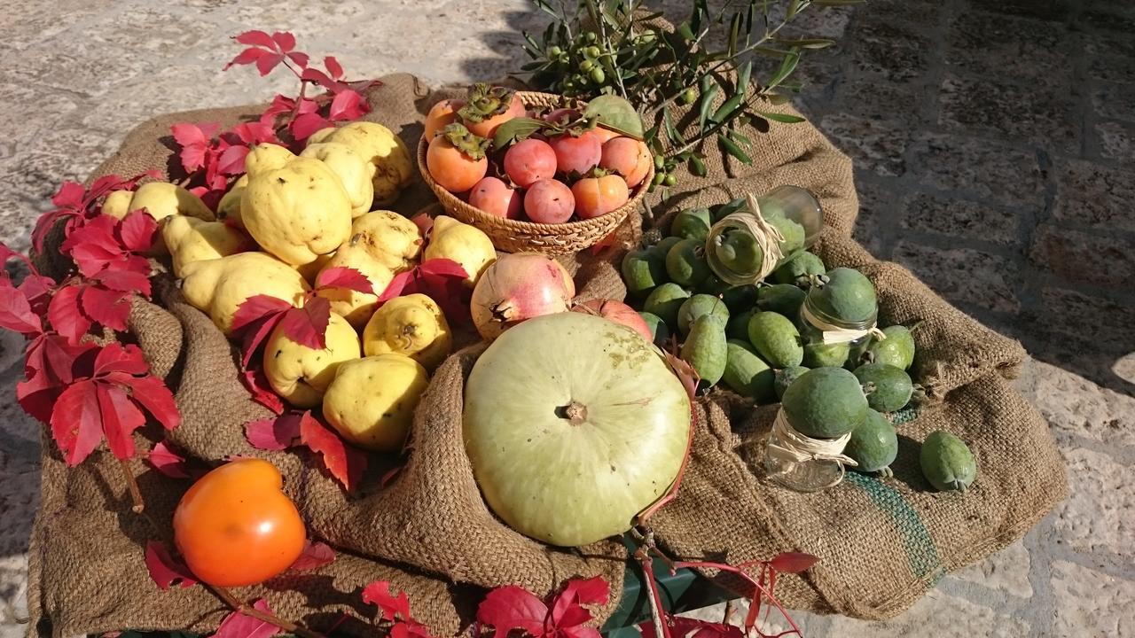Agriturismo Torrevecchia San Pancrazio Salentino Dış mekan fotoğraf
